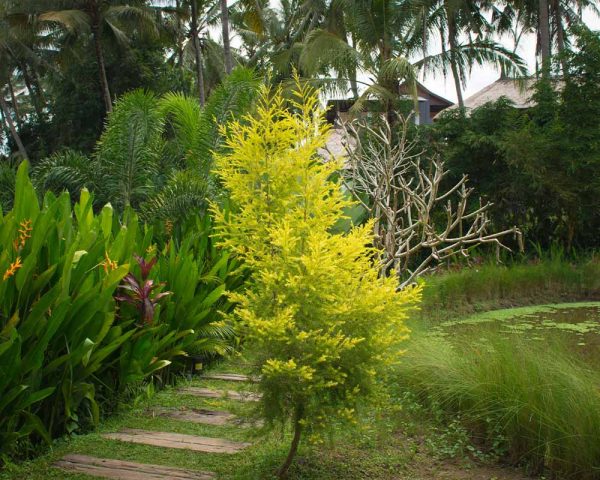 Landscaping Company Bergen County